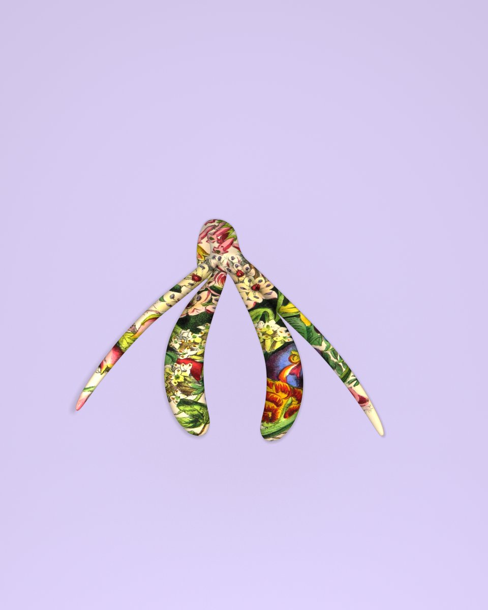 clitoscope's tweet photo. Clitoris macrostema https://t.co/wkJo8VkOpx