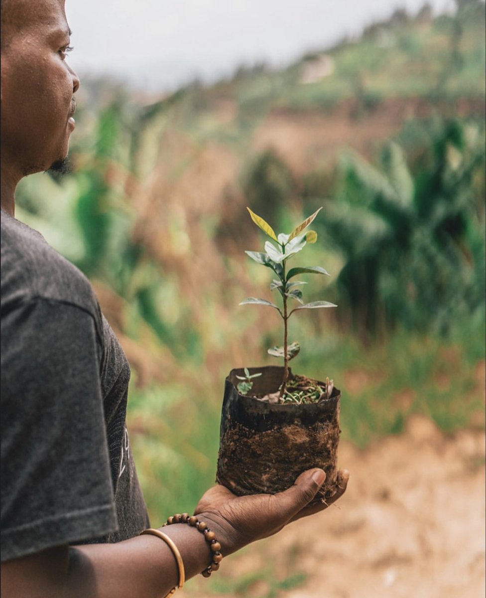 One print job, one tree and one page at a time – or by the millions! PrintReleaf makes it easy to reforest your paper consumption. 🌱 Learn more about how you can get started today! hubs.li/Q01z-hD_0