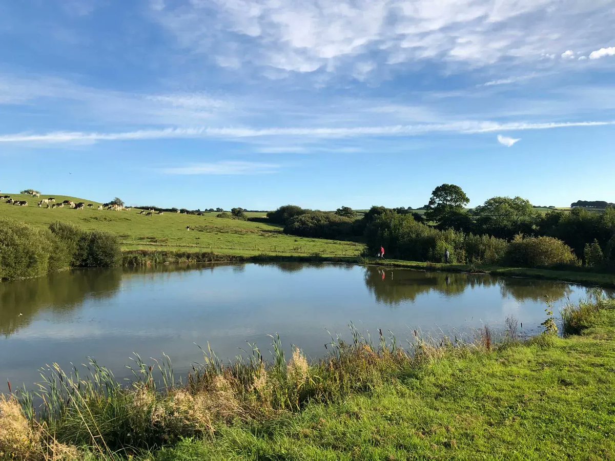 TheHolidayCots's tweet photo. Keen fishermen will love a stay at Bakers Mill Farm Holiday Cottages. They have 2 private fishing lakes available close to the cottages.
🛌Sleeps 1-19
https://t.co/T83XrArmF7
#Mosterton #Beaminster #Dorset #HolidayCottages #Fishing #FishingLakes #WestDorset #PetsWelcome https://t.co/sib2WhaUYQ