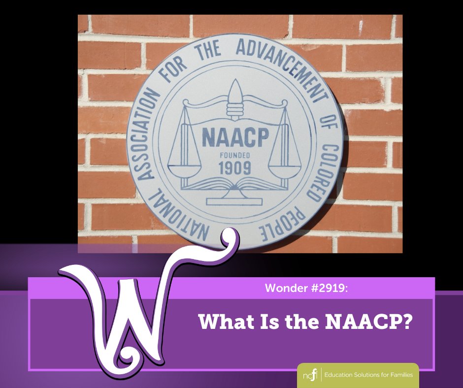 Wonderopolis tweet media