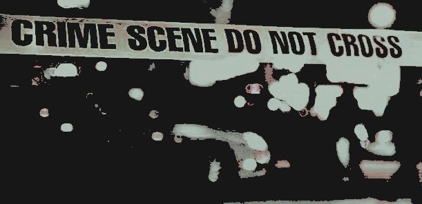 geniuxgirl's tweet image. ᅟᅟ   . . .  𝒉ey 𝒉ey 𝒉ey. 🚨
𝒓esolvi criar um squad para personagens que trabalham na área criminal (agentes, investigadores, policiais, peritos, advogados e outros) para plotarmos juntos. caso esteja interessado, peço que comente "in" aqui. e RT para chegar em mais pessoas!