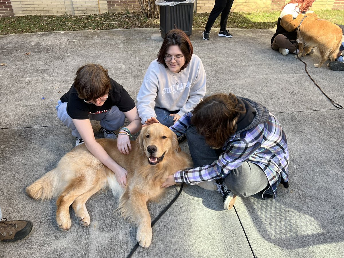 UCF Social Work tweet media