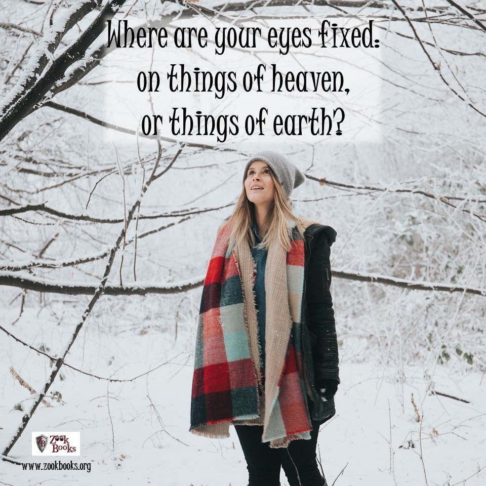 Where are your eyes fixed: on things of heaven, or things of earth?