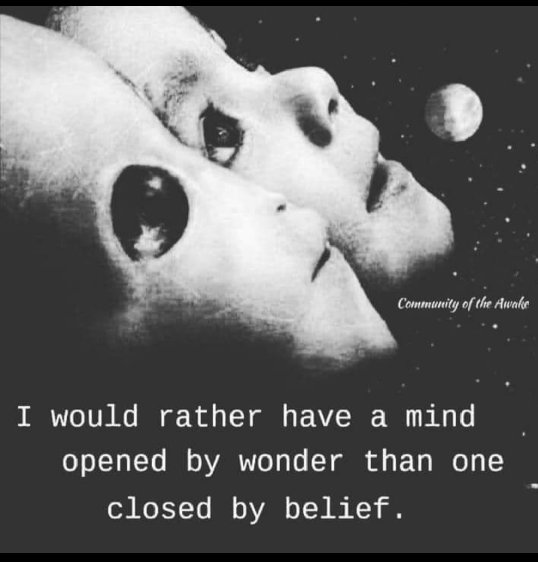 dianamonique83's tweet photo. I don't teach my child that Santa Claus, the Easter Bunny and gold being at the end of a rainbow is real (that's all nonsense) but she is learning just how real the Anunnaki, reptilians &amp; under water civilizations are. 📖 🧠 https://t.co/PN6BXJsb9N