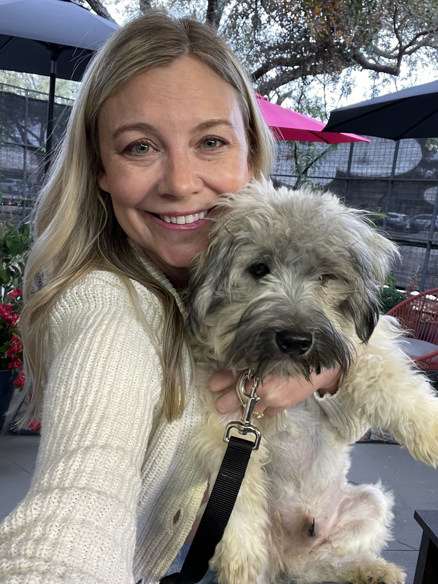 This is Mushroom, and he’s one of 57 dogs <a href="/austinhumane/">AustinHumaneSociety</a> just rescued from a single home in Bastrop. He’s so sweet and gentle and doesn’t even shed! All of these dogs are Maltese/poodle/terrier type mixes and will be adoptable tomorrow at noon. 🍄 #atx