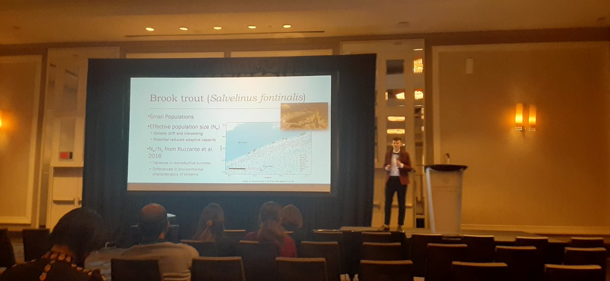 Sarah Salisbury (@salisbury_fish) on Twitter photo Wow! <a href="/cait_nemeczek/">Cait Nemeczek</a> found multiple structural variants differentiating neighboring freshwater resident brook trout populations in Nova Scotia, 🇨🇦! These genomic rearrangements could be key to help conserve these small populations! 🐟🧬🙃🙂 <a href="/scas_scsa/">Society of Canadian Aquatic Sciences</a> #SCAS_SCSA2023 Wow! <a href="/cait_nemeczek/">Cait Nemeczek</a> found multiple structural variants differentiating neighboring freshwater resident brook trout populations in Nova Scotia, 🇨🇦! These genomic rearrangements could be key to help conserve these small populations! 🐟🧬🙃🙂 <a href="/scas_scsa/">Society of Canadian Aquatic Sciences</a> #SCAS_SCSA2023