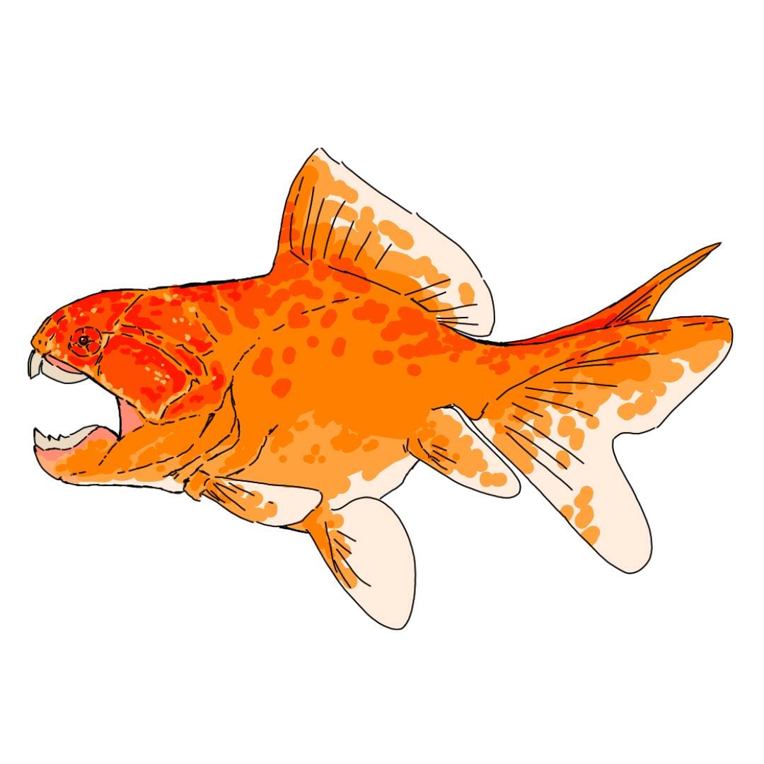 Lampichthys's tweet photo. If you haven't already heard, #Dunkelosteus got a bit of a smooshing in a recent publication (https://t.co/gMqFl0mov5) #ChunkyDunky has been a fun topic of many illustrators. For the #SundayFIshSketch #Fishytheme, what new chunky body would you give this charismatic extinct taxa? https://t.co/sYGOlCBSjS