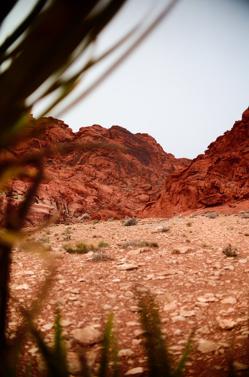 Working from Mars this week