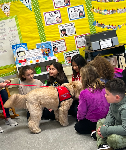 HowellTwpAldrch's tweet image. Mrs. Tirone and Mrs. Brounstein's 3rd grade class had a special visitor today during reading! Grady is a 3 year old Australian Labradoodle registered from the AKC &amp;amp; Bright and Beautiful Therapy Dogs. Grady listened to the students as they read. #HowellReads #HTPSLearnerSuccess