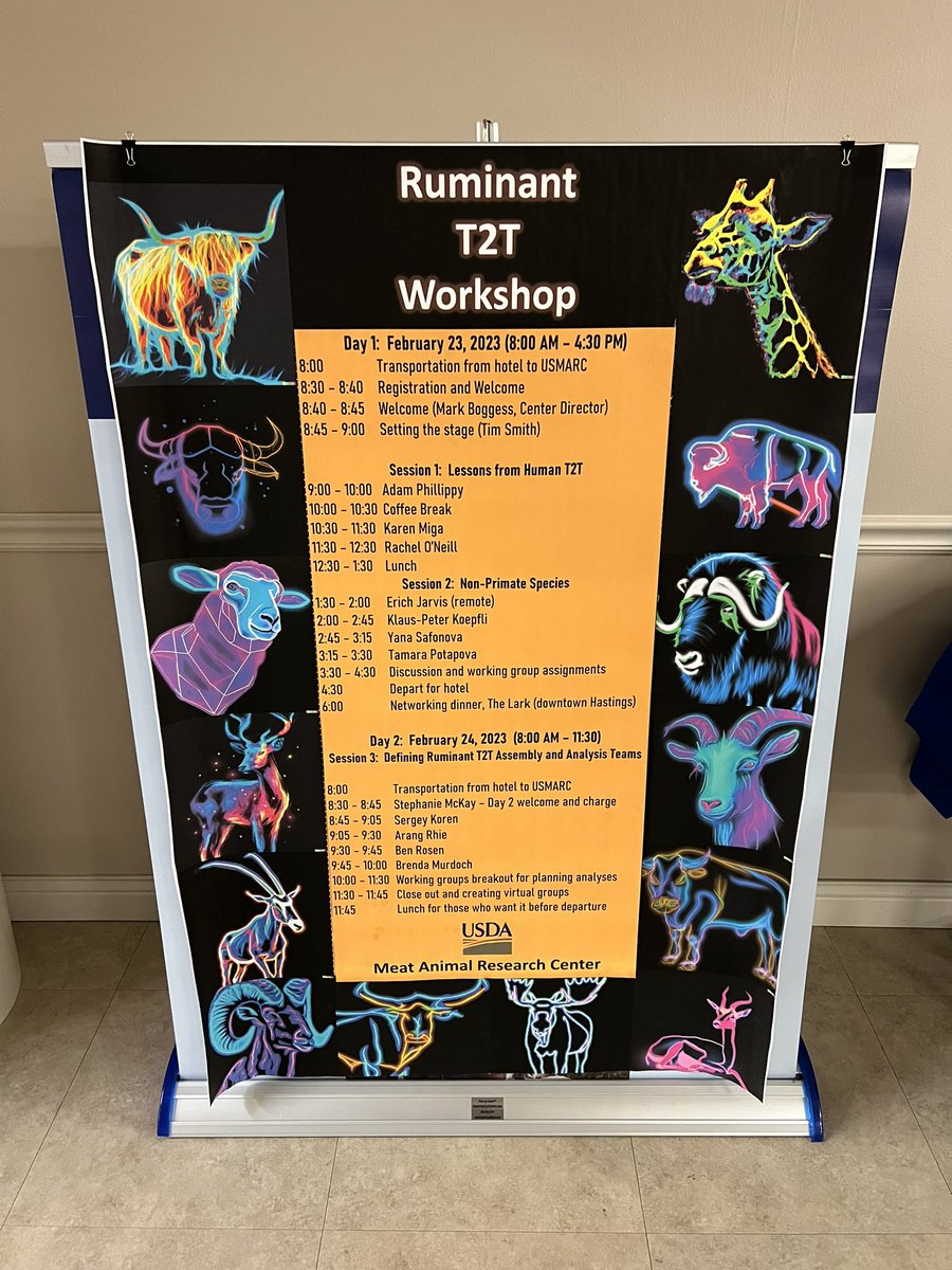 Team #T2T stopped by chilly Nebraska this week looking for some more genomes to finish and found lots of volunteers 🐮 Thanks for the great workshop <a href="/tplsmith/">Tim Smith</a>!