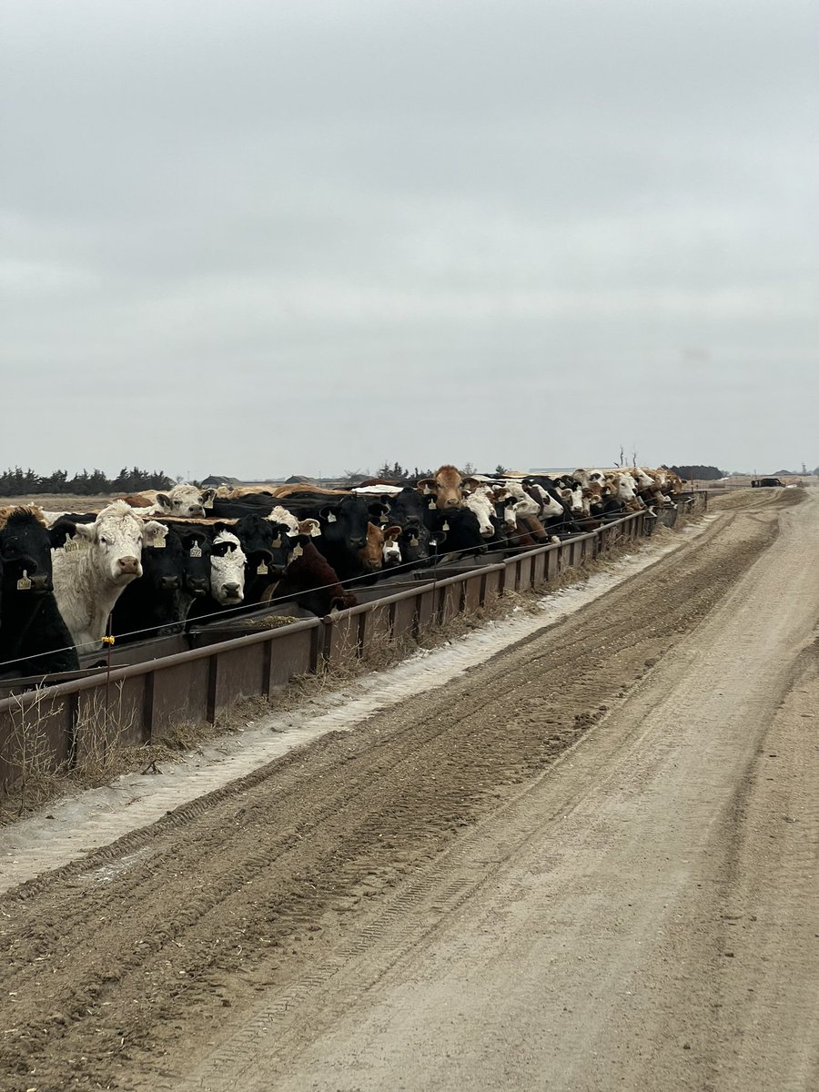 Adam Phillippy tweet media