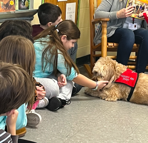 HowellTwpAldrch's tweet image. Mrs. Tirone and Mrs. Brounstein's 3rd grade class had a special visitor today during reading! Grady is a 3 year old Australian Labradoodle registered from the AKC &amp;amp; Bright and Beautiful Therapy Dogs. Grady listened to the students as they read. #HowellReads #HTPSLearnerSuccess
