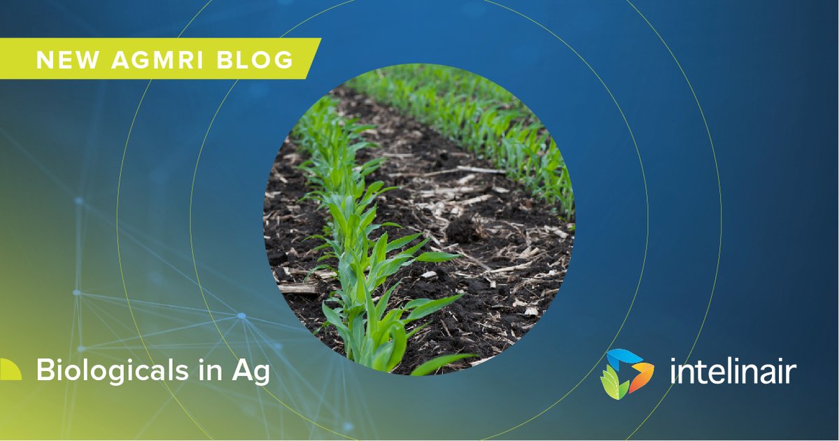 Biologicals have recently become a hot topic. But what exactly are they? Intelinair Senior Agronomist Keith Porter takes a closer look at defining and understanding biologicals in his latest blog. Check it out at agmri.com/agmri-stories/…
#AGMRI #biologicals #precisionag