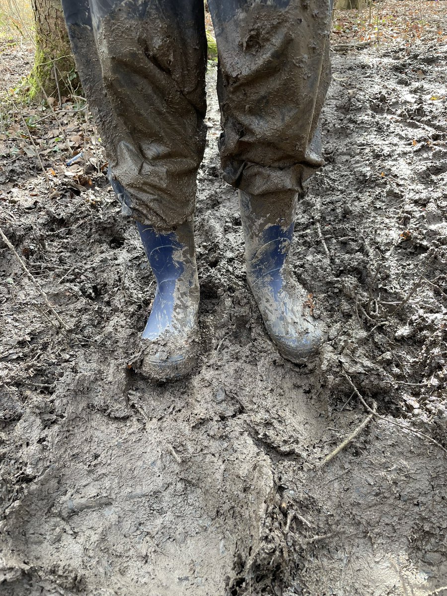 Room3MrStein's tweet photo. Strathclyde Park….you’ve got a wee speck of mud on your boots. 🙈🥾@HolytownPS https://t.co/Gr9nyXyWKG