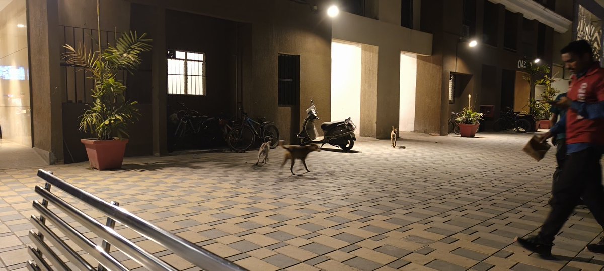 hitmanrocksss's tweet photo. Dear Team,
We have many Street dogs in our Dosti Oak, Balkum, Thane West, which are causing mental stress to all parents as these dogs attack small kids playing in complex daily.

Need Urgent help &amp; Solution 

@TMCaTweetAway 
@DostiRealty 
@ThaneCityPolice 

#canineattack #Thane https://t.co/vxs55rm8l1