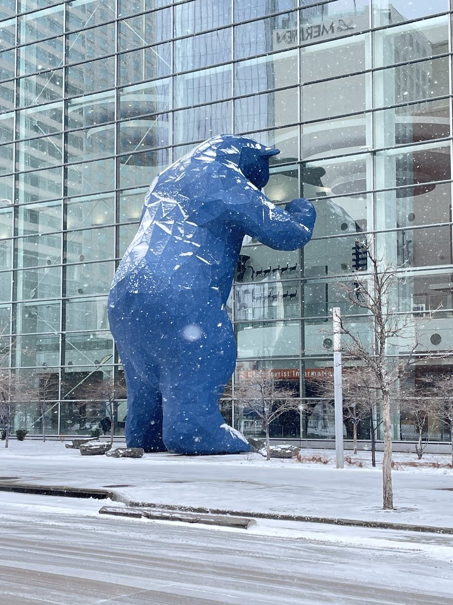 intheolivegroves tweet media