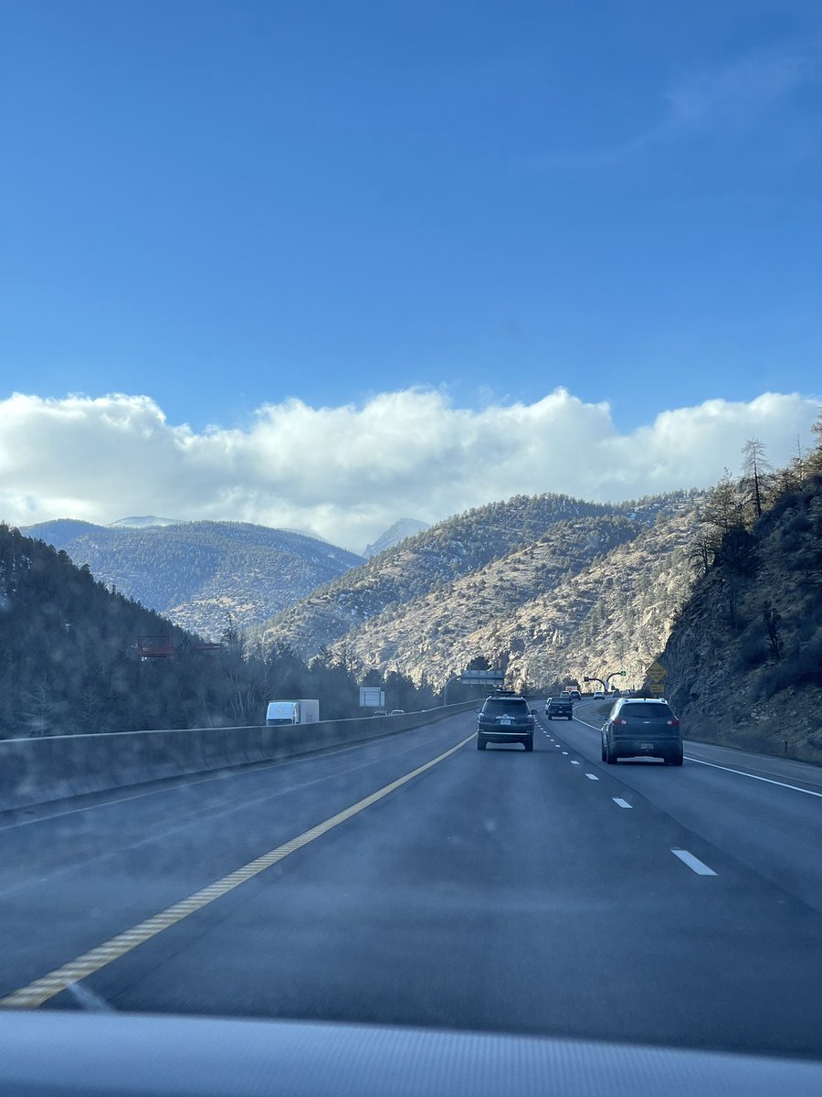 intheolivegroves tweet media