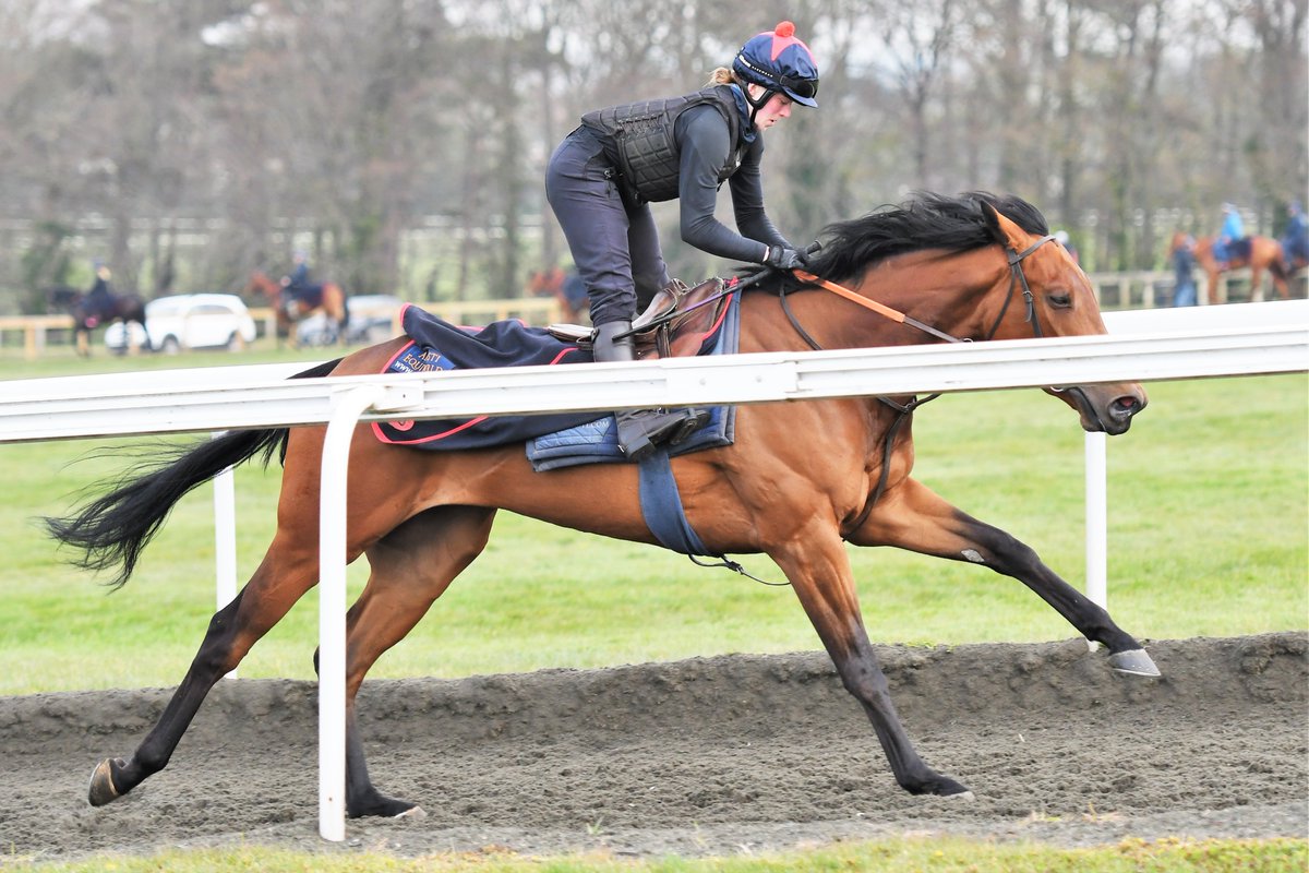 SimcockRacing's tweet photo. KINGSTON JOY 🌟WINS🌟 (4yo f Kingston Hill GB - Archetypal IRE) the 1m4f Handicap @LingfieldPark under @JPSPENCER1980 for TICK TOCK PARTNERSHIP & @SimcockRacing #AlBasti #AlBastiEquiworldDubai https://t.co/nsLBQqiOWN
