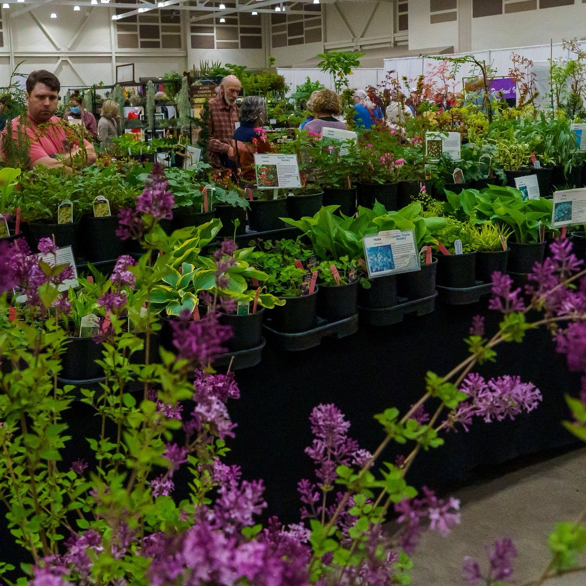 HardyPlantOR's tweet photo. HORTLANDIA 2023 is coming soon! This year's plant and garden art sale will be held on April 7th and 8th at the Hillsboro Westside Commons. 

You can now get tickets at https://t.co/CrqTzWYcUJ for the Early Shopping Party on the 7th and general tickets on the 8th. https://t.co/FBOEkQgJsz