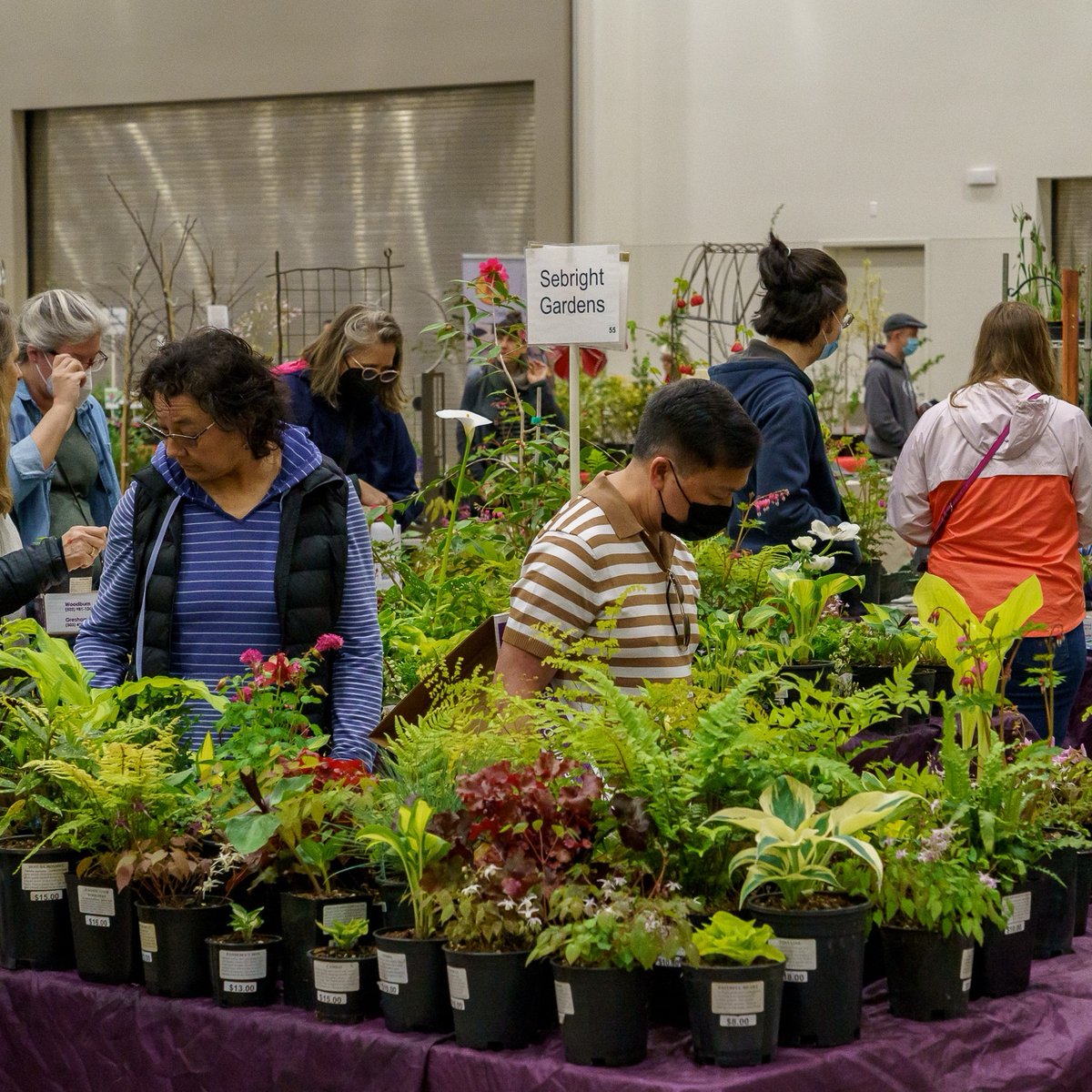 HORTLANDIA 2023 is coming soon! This year's plant and garden art sale will be held on April 7th and 8th at the Hillsboro Westside Commons. 

You can now get tickets at Hortlandia.com for the Early Shopping Party on the 7th and general tickets on the 8th.