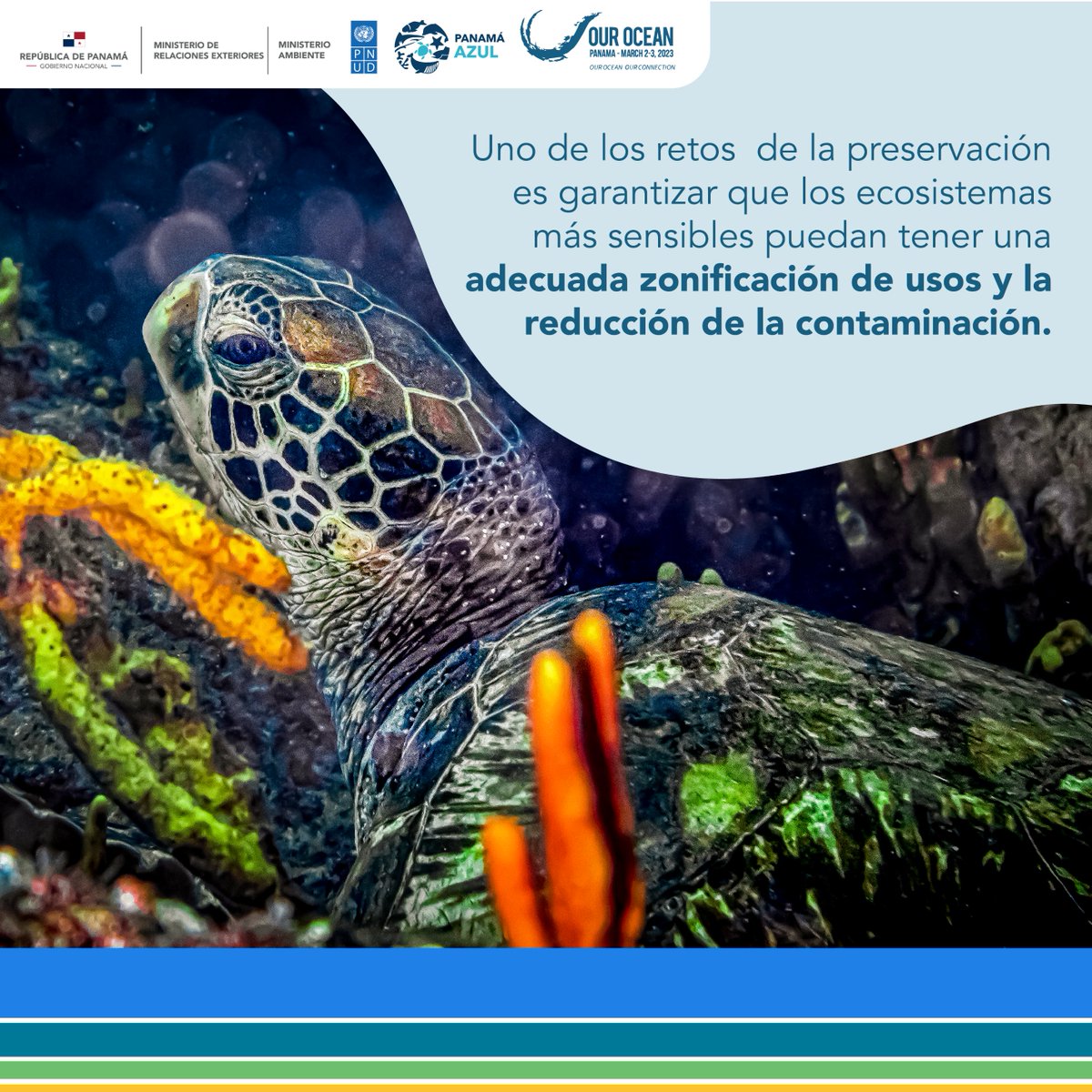 PNUDPanama tweet picture