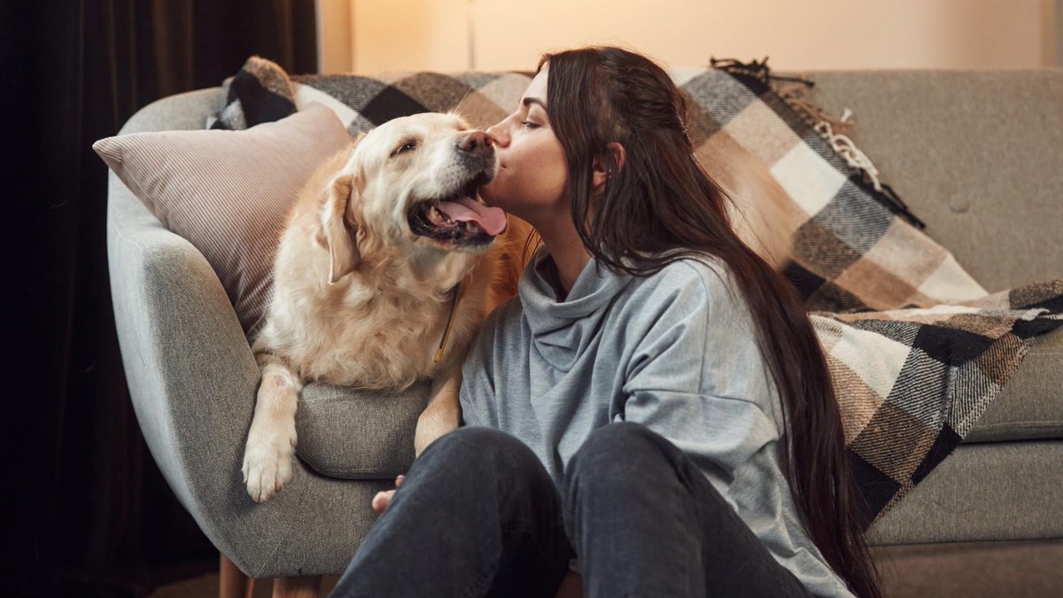 Want to show your dog a little extra love? Shop our gourmet dog treats to show them how much you care. 💝🐶

#bitchnewyork #bnydogs #puppylove #luxurydog #doggifts #dogtreats