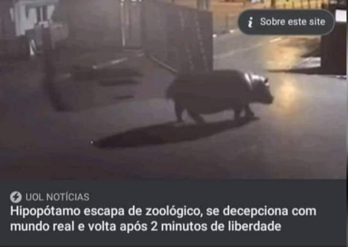zSenshi_Sama's tweet photo. muito clássica https://t.co/LOA00fMbxc