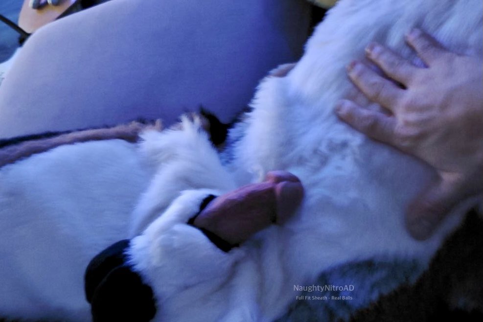 Nitro Sheef 🔞🔜 𝗙𝗪𝗔 tweet media