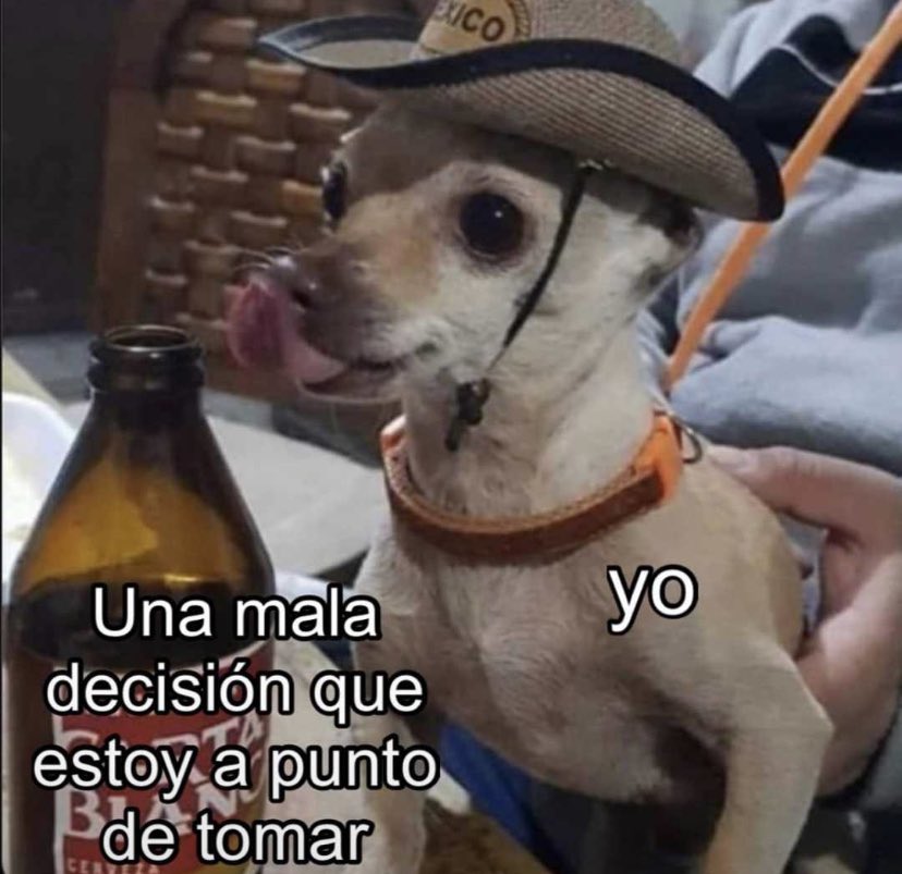 Perritos que curan tu depresión 🐶 tweet media