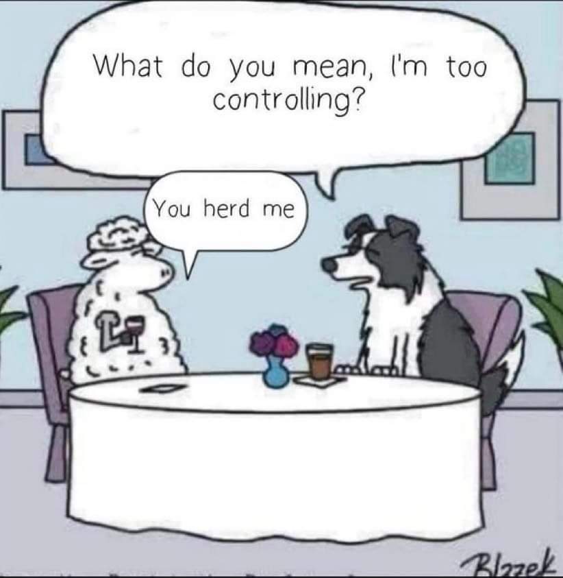 AgSafeBC's tweet photo. Relationships can be complicated.
#farmfunny #FridayFunny https://t.co/QDqzZQOMvu