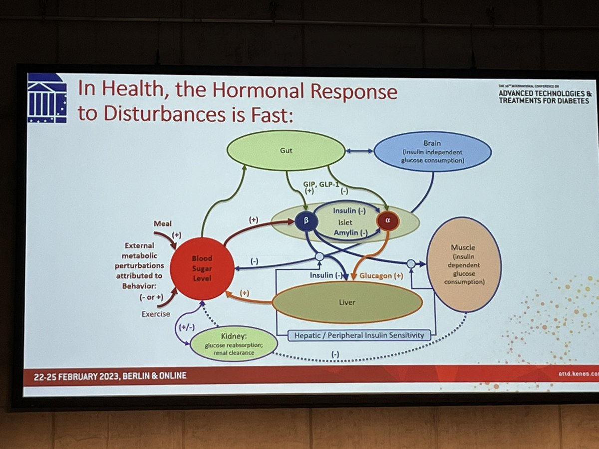 Dr Martin de Bock (@drmartindebock1) on Twitter photo Boris kovatchev, legend, reminding us of the challenging physiological milieu to be overcome when attempting fully closed loop. #ATTD23 Boris kovatchev, legend, reminding us of the challenging physiological milieu to be overcome when attempting fully closed loop. #ATTD23