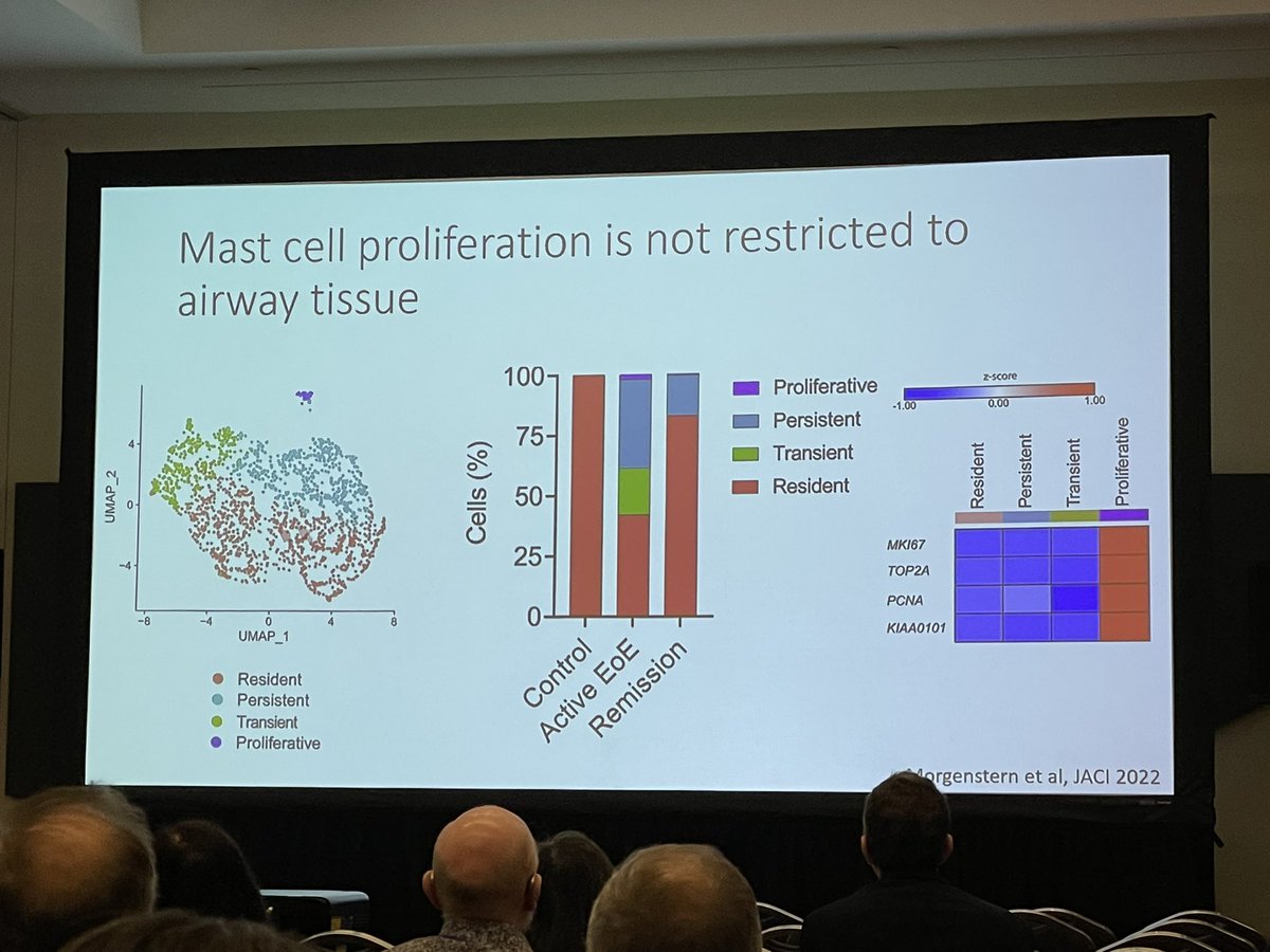 Dwyer: Mast cell proliferation is not restricted to airway tissue. #AAAAI23