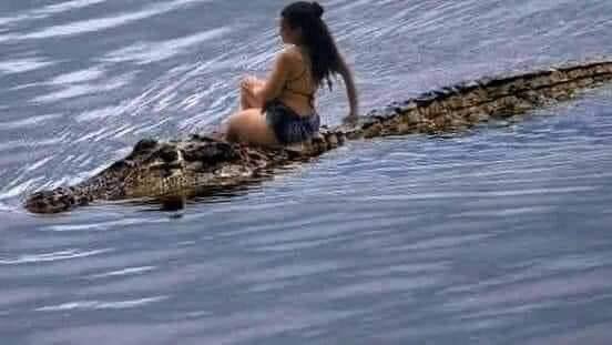 "prefere andar num jacaré, ou admitir que esta errada"
Eu: "vamos Lacoste"