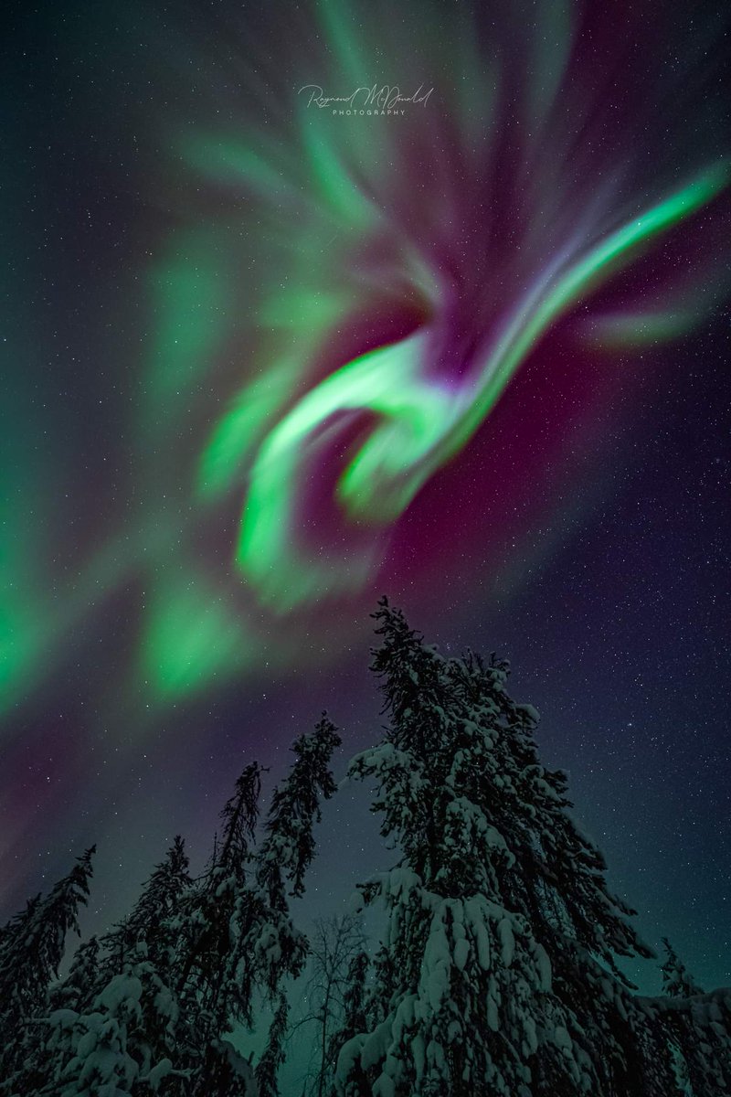 It's been a while since I posted any photos, but I hope these two make up for it. Effects of a 2.2X class flare.
#Aurora #auroraborealis #northernlight, #Yellowknife #spectacularnwt