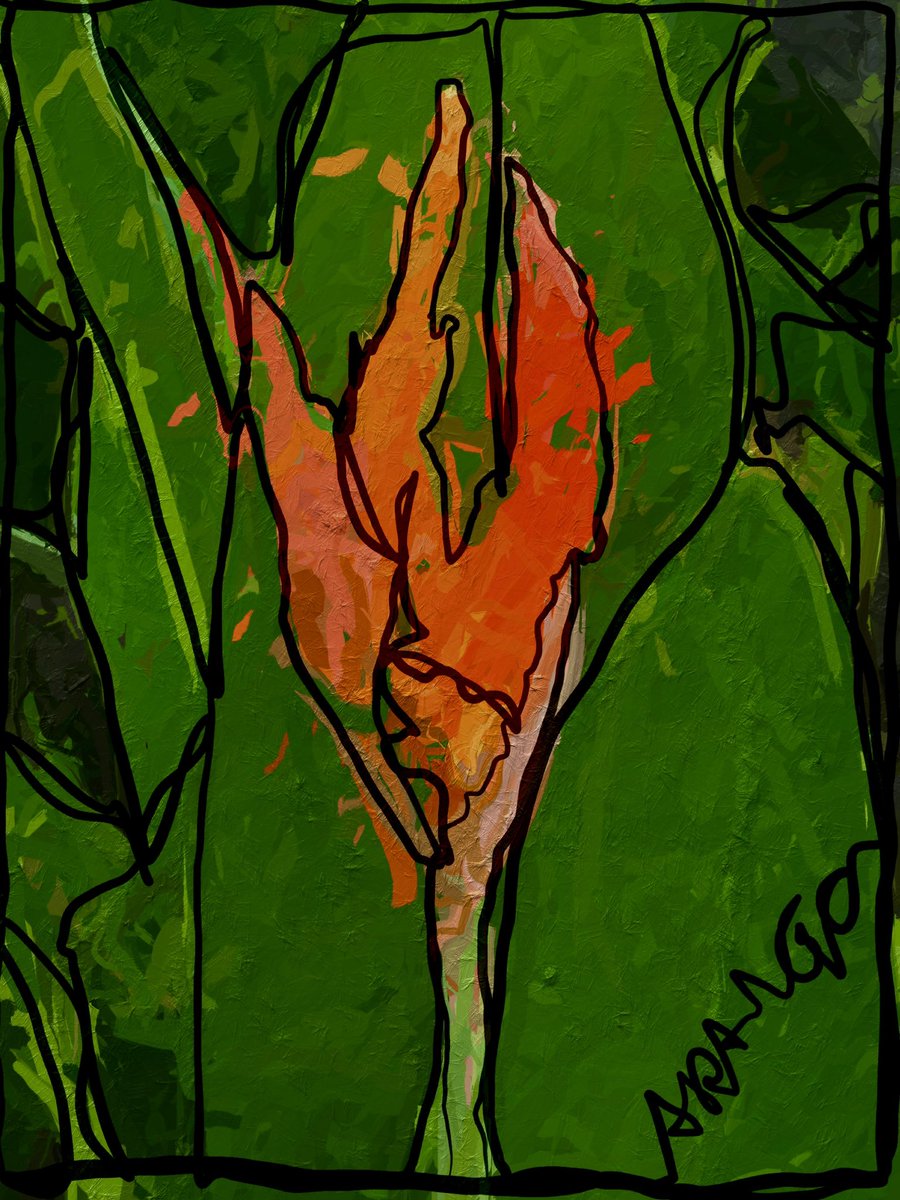 rojo sobre verde
arango.xyz
#red #green #redandgreen #linedrawing #art #digitalart #Flowers #nature