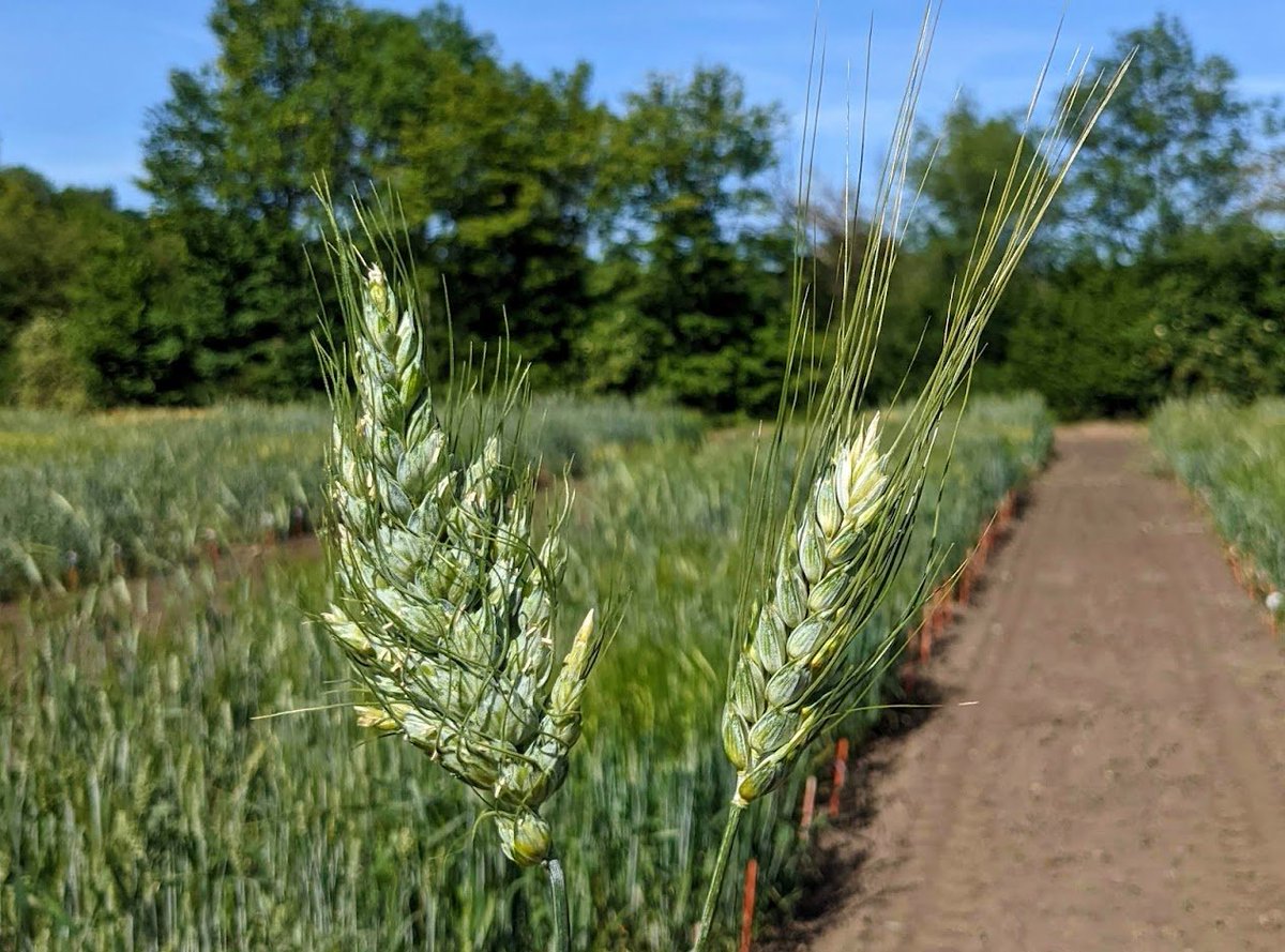 Ragavendran Abbai tweet media