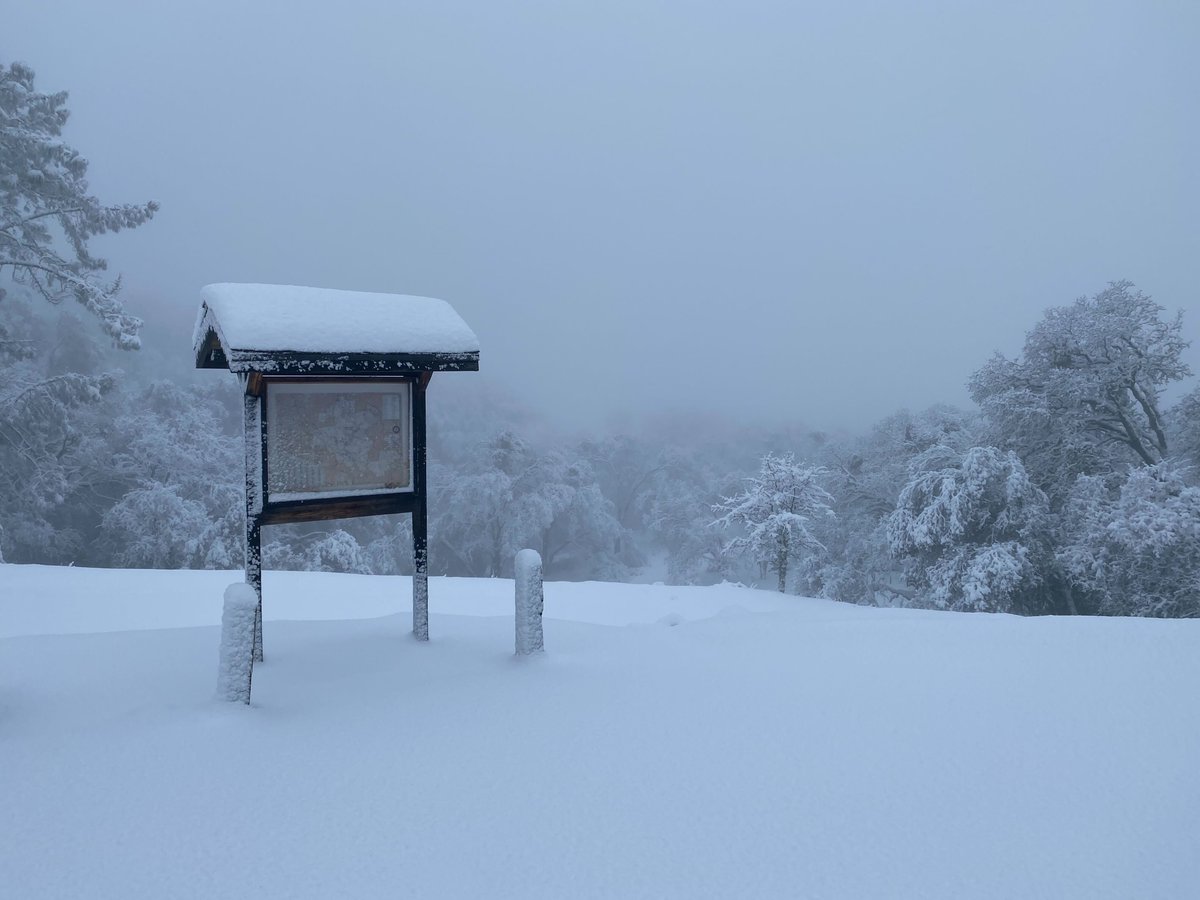 sfchronicle's tweet photo. Here's a look at Mt. Diablo State Park early this morning. The park is currently closed due to snowfall.

📷: Mt. Diablo State Park

Read more: https://t.co/n5NFByCUVH https://t.co/8HTdiTEW8P
