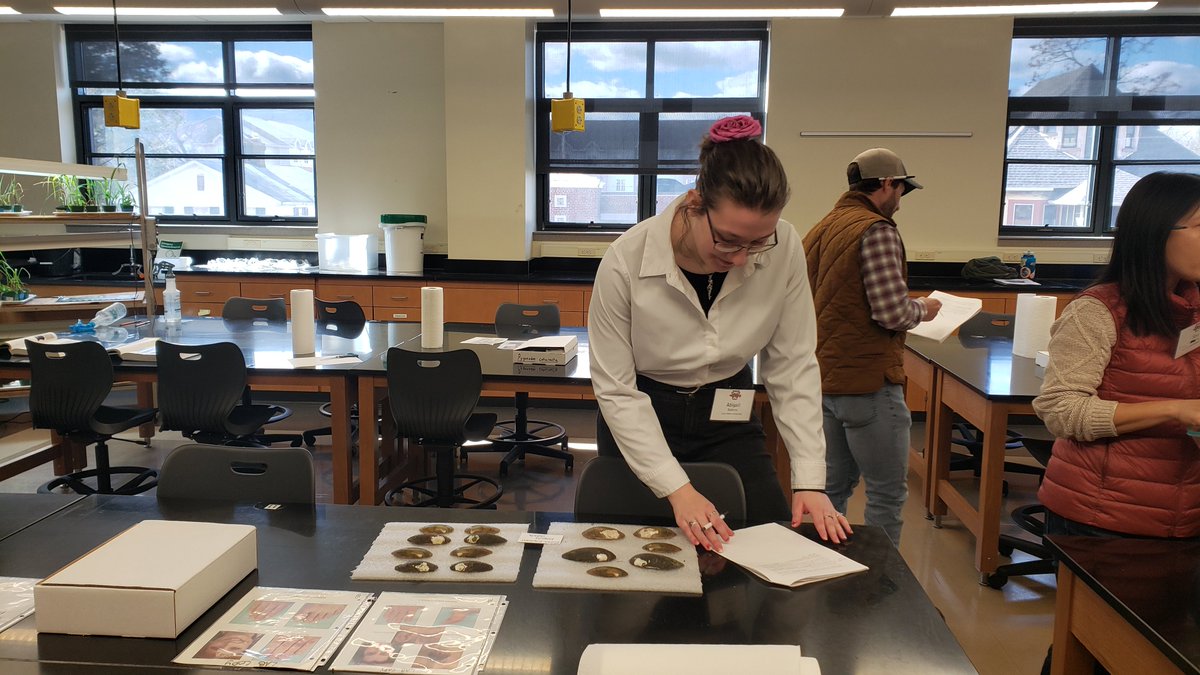 LHU_Biology's tweet photo. Fantastic workshops w PAAFS going on today at Commonwealth Lock Haven. Mussel ID, R coding, and Mayflies! https://t.co/5SadDA2r1B