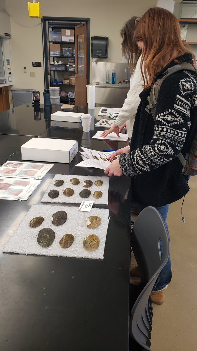 LHU_Biology's tweet photo. Fantastic workshops w PAAFS going on today at Commonwealth Lock Haven. Mussel ID, R coding, and Mayflies! https://t.co/5SadDA2r1B
