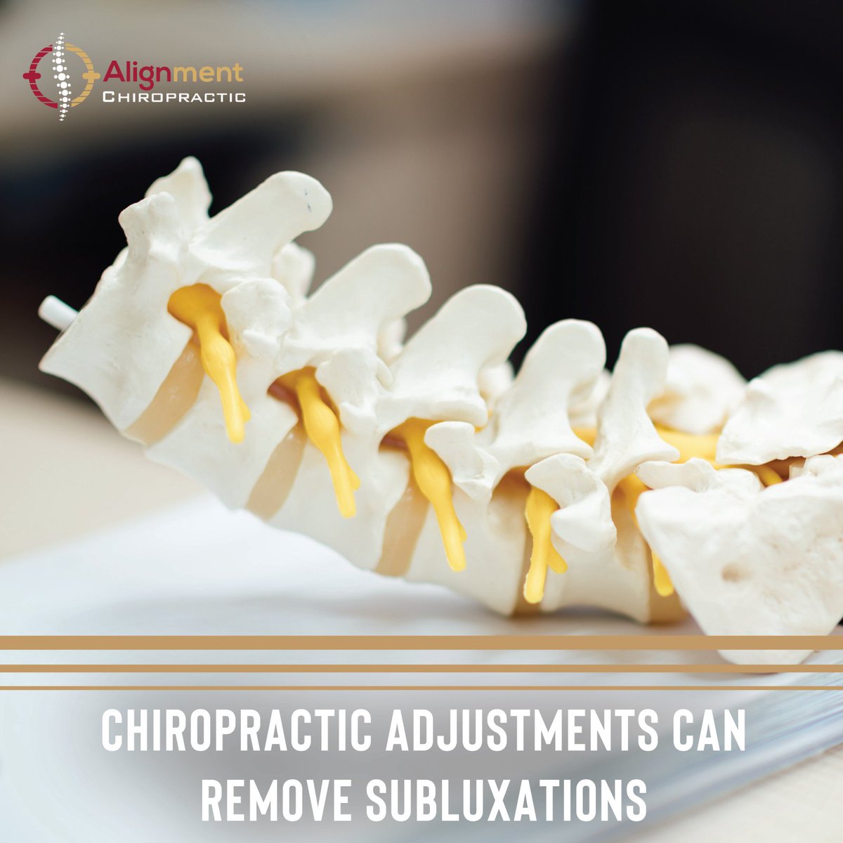 AlignmentChiro's tweet photo. Subluxations, caused by misaligned vertebrae, are the most common cause of back pain. Chiropractic adjustments can remove these interferences!
#alignmentchiropractic #chiropractor #alignment #alignyourspine #alignyourhealth #alignyourlife #doctorofchiropractic https://t.co/OTogPkHm92