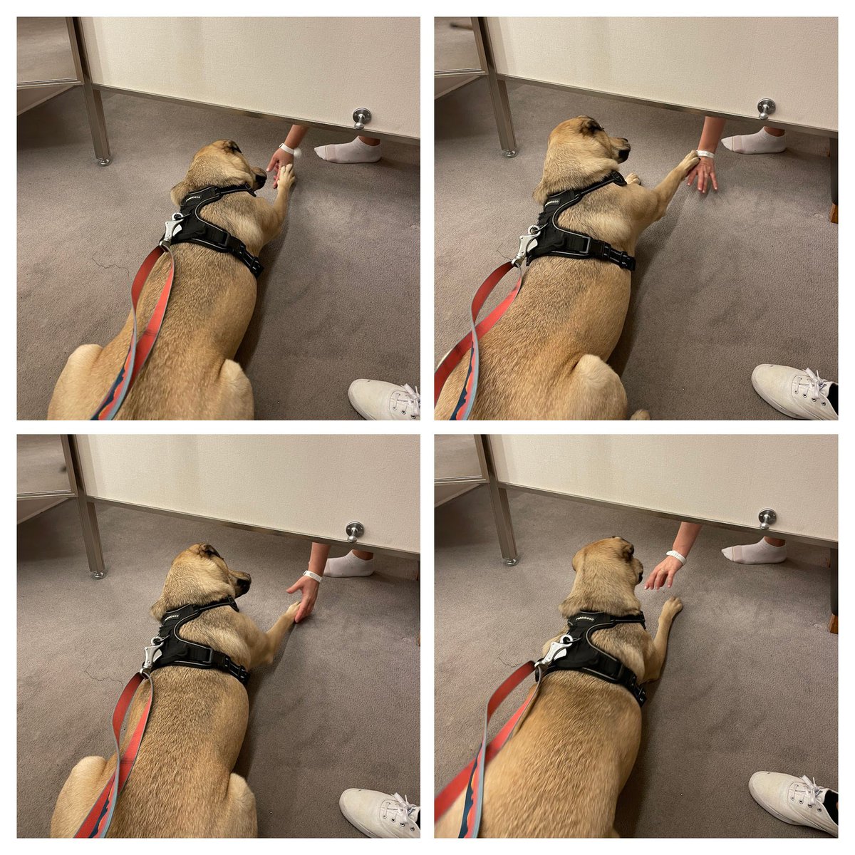 Chetan Verma tweet media