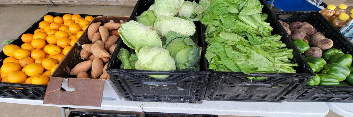 BarceloGardens's tweet photo. We run a #farmersmarket every #Friday in #Napoleonville #Louisiana from 11:00 a.m. to 3:00 p.m. all our #vegetables are locally sourced! Come buy #fresh and local and support fresh #groceries in #fooddeserts https://t.co/z8CDx39bta