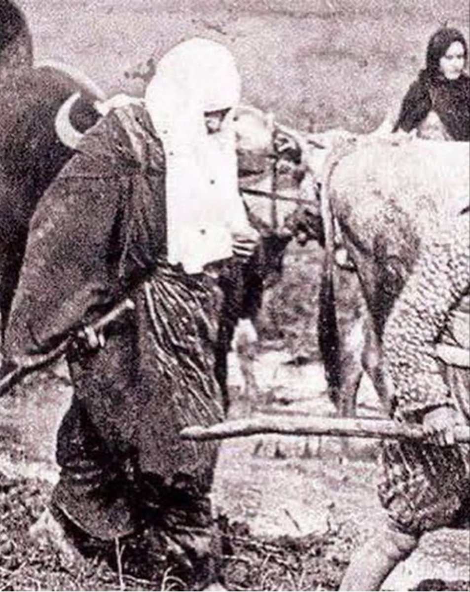 Fıtrat değişir sanma bu kan yine o kandır.