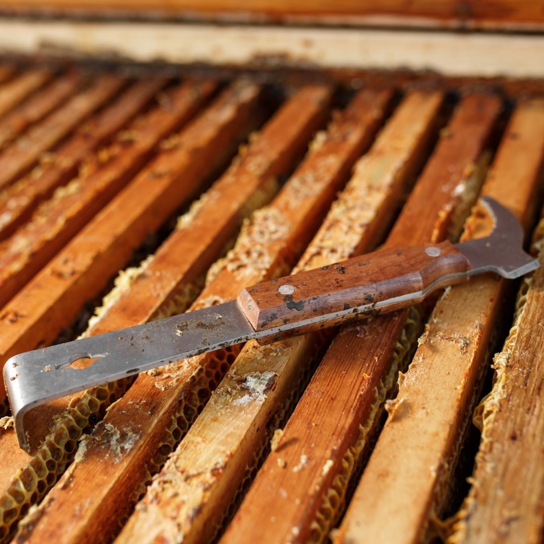 Looking for good beekeeping equipment suppliers near you? Check out my list of The Best Beekeeping Suppliers Across North America nycbeekeeper.com/the-best-beeke…

Is your favorite on my list? If not, let me know.