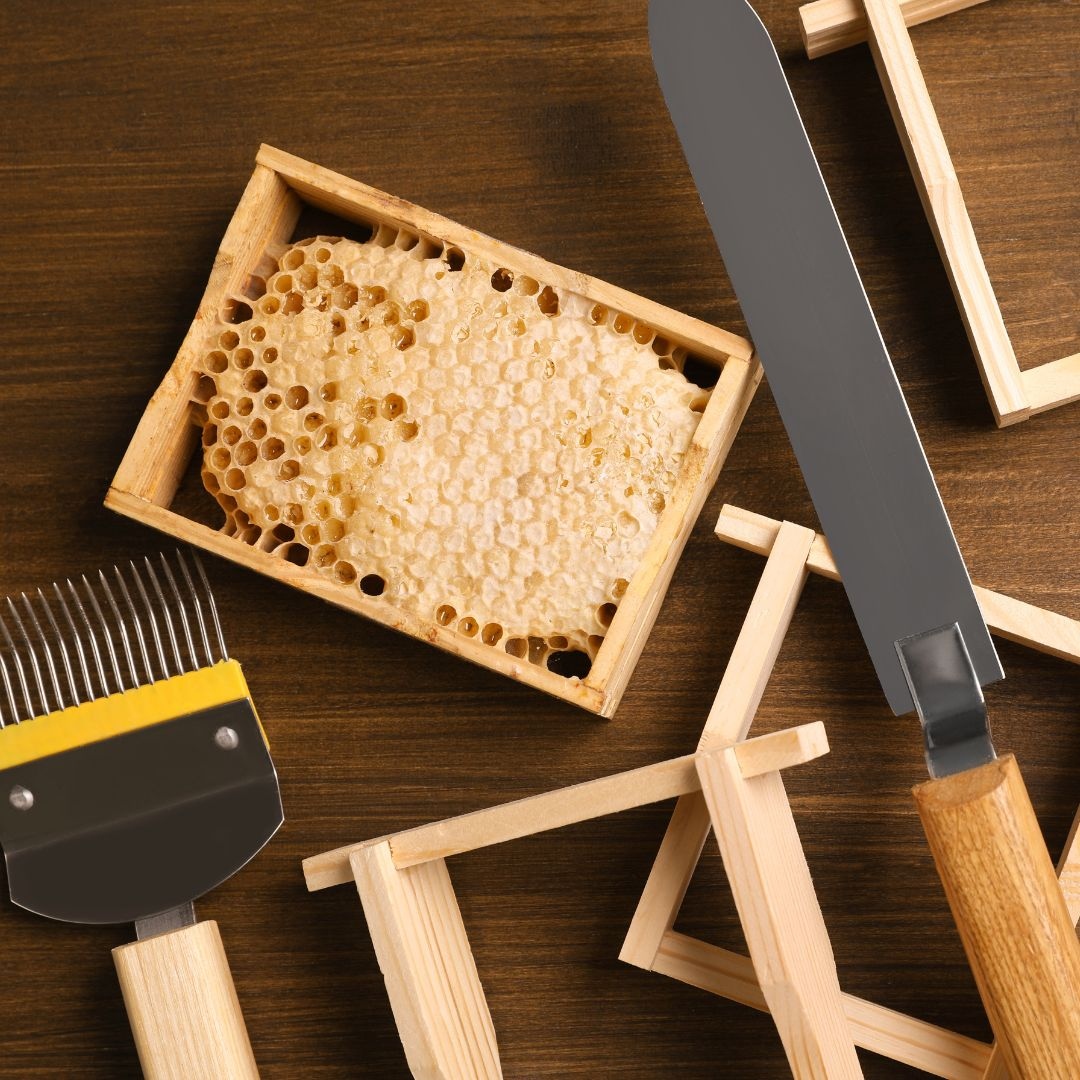 nycbeekeeper's tweet photo. Looking for good beekeeping equipment suppliers near you? Check out my list of The Best Beekeeping Suppliers Across North America https://t.co/VQ35bserAZ

Is your favorite on my list? If not, let me know. https://t.co/7TQeXRD0nT