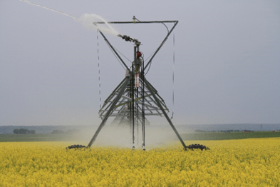 IrrigateSask's tweet photo. Join us March 16th in Outlook to listen to the importance of irrigation scheduling and how to implement it on your farm.

https://t.co/OznmEzTPqY https://t.co/M5aTH1dnFm