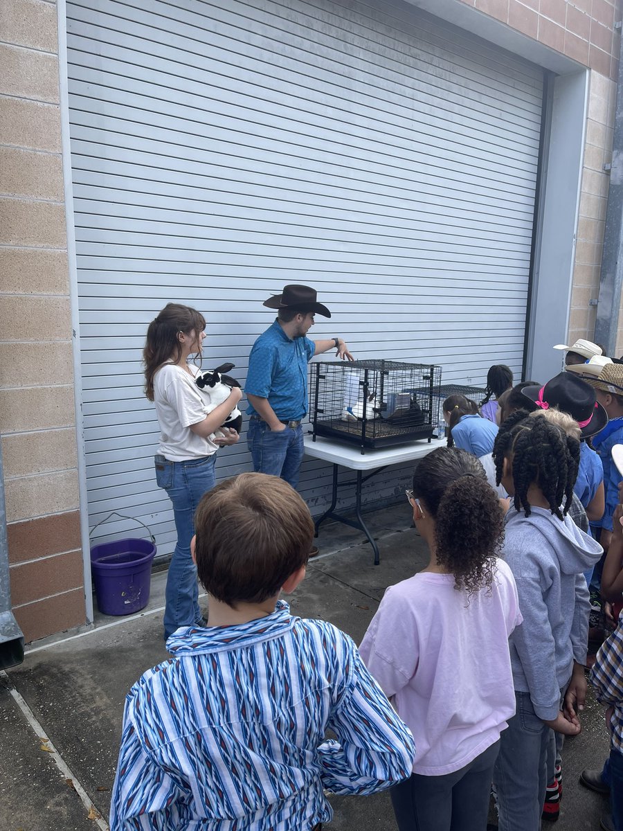 πππ ππππ£π‘ (@kim_a_sharp) on Twitter photo Itβs amazing when the #KleinFamily comes together! <a href="/KleinFFA/">Klein High FFA </a> brought animals over for the <a href="/BrillKISD/">Brill Elementary</a> Hoedown! All students (and staff) had a great time!! <a href="/KleinISD/">Klein ISD</a> <a href="/KleinHigh/">Klein High School</a> @ehodgekleb Itβs amazing when the #KleinFamily comes together! <a href="/KleinFFA/">Klein High FFA </a> brought animals over for the <a href="/BrillKISD/">Brill Elementary</a> Hoedown! All students (and staff) had a great time!! <a href="/KleinISD/">Klein ISD</a> <a href="/KleinHigh/">Klein High School</a> @ehodgekleb