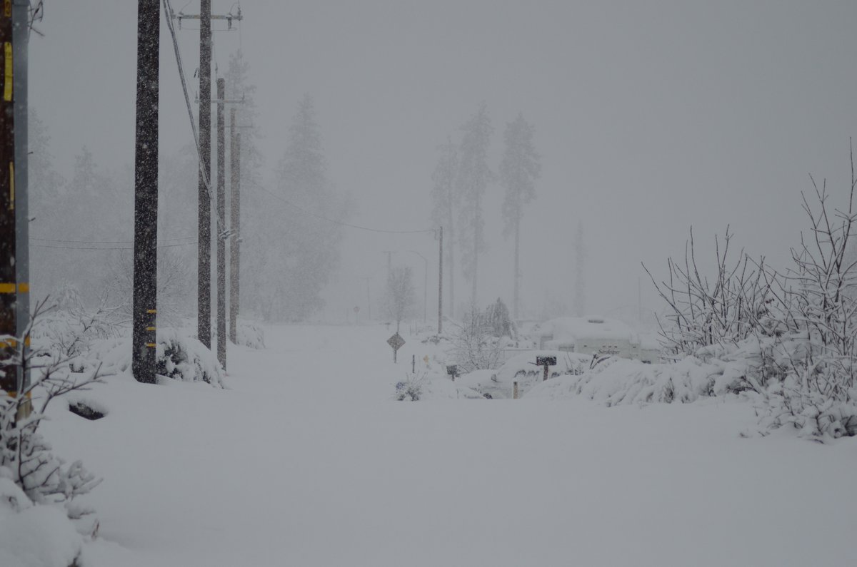 Lower Paradise, CA this morning. I didn't measure but it looks like about a foot so far.