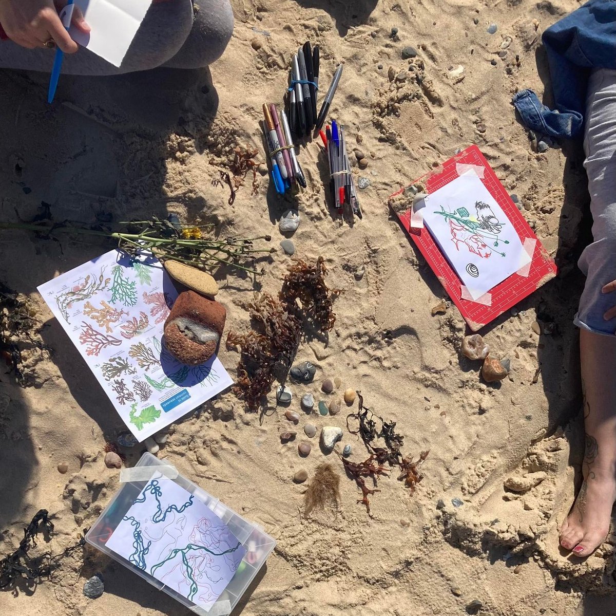 Curious about our Coasters programme? We have spaces available if you'd like to join us! Sessions are open to adults living in/around Great Yarmouth 💚
Join us on Tuesday mornings at the <a href="/MarinaCentre_GY/">Marina Centre Great Yarmouth</a>. To book your place or enquire, email: genevieve@underopensky.co.uk