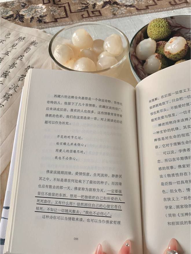 Reading makes youth spread its wings, and knowledge makes life fly.